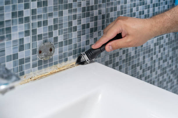 Best Mold Remediation for Specific Building Types in Seeley Lake, MT